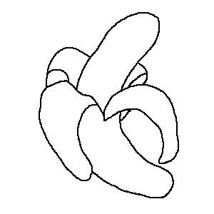 B - Banane